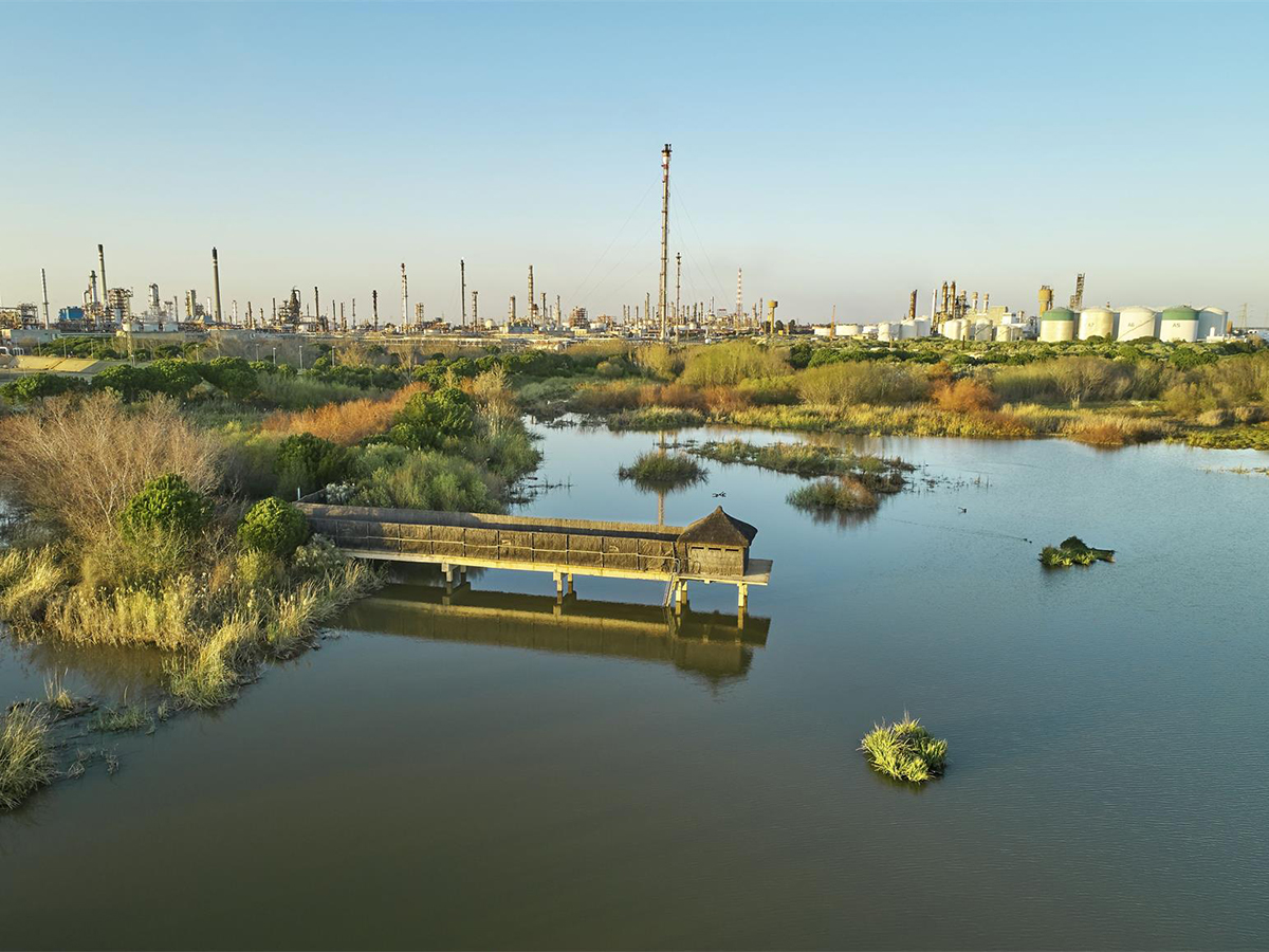 La UAP agiliza el complejo de producción de biocombustibles de Cepsa en Huelva