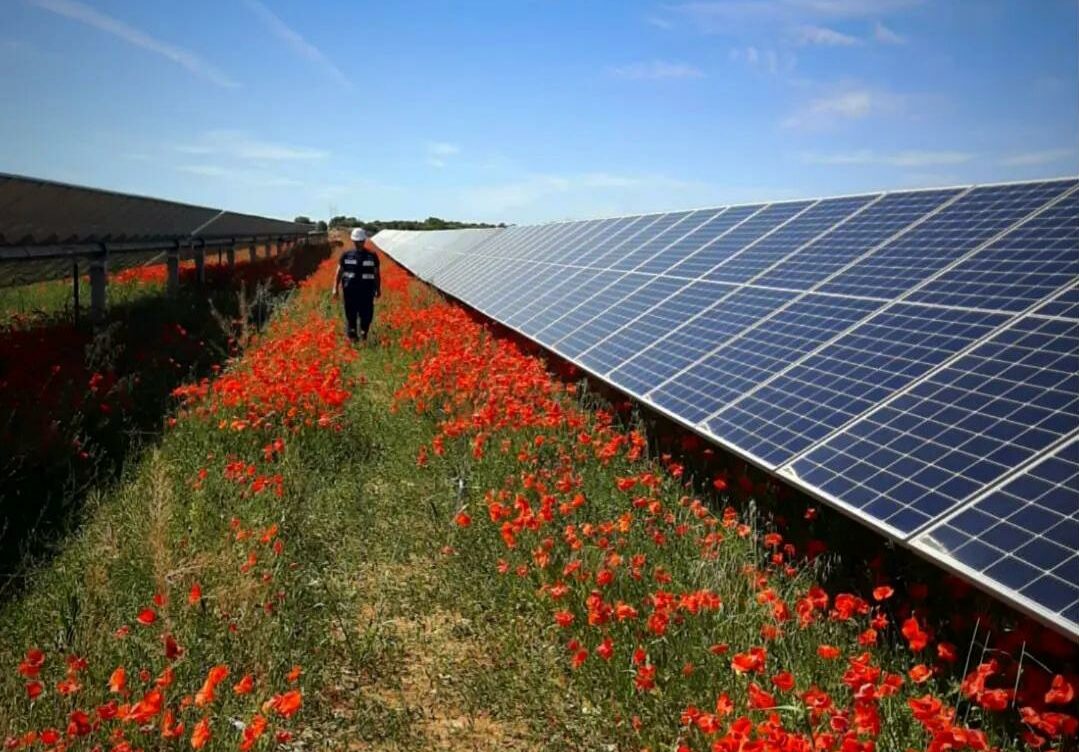 Gonvarri Solar Steel suministrará 1,2 GW de seguidores y estructuras fijas a Iberdrola en España y Portugal