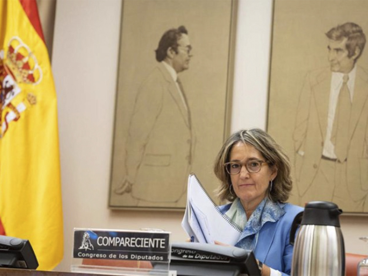 María Jesús Martín, nombrada nueva consejera de la CNMC