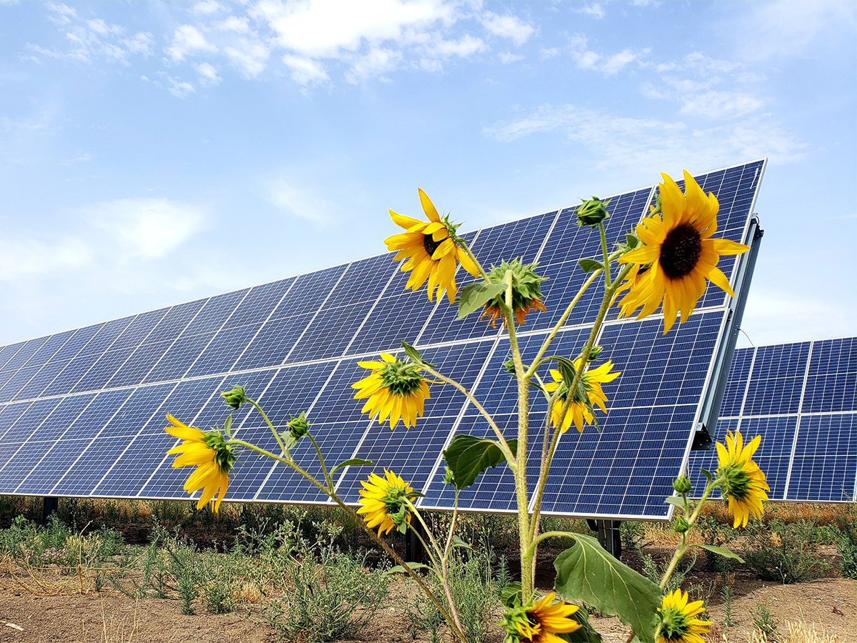 Statkraft firma un 'PPA' para la producción de una planta fotovoltaica de 50 MW de Aquila en Jaén