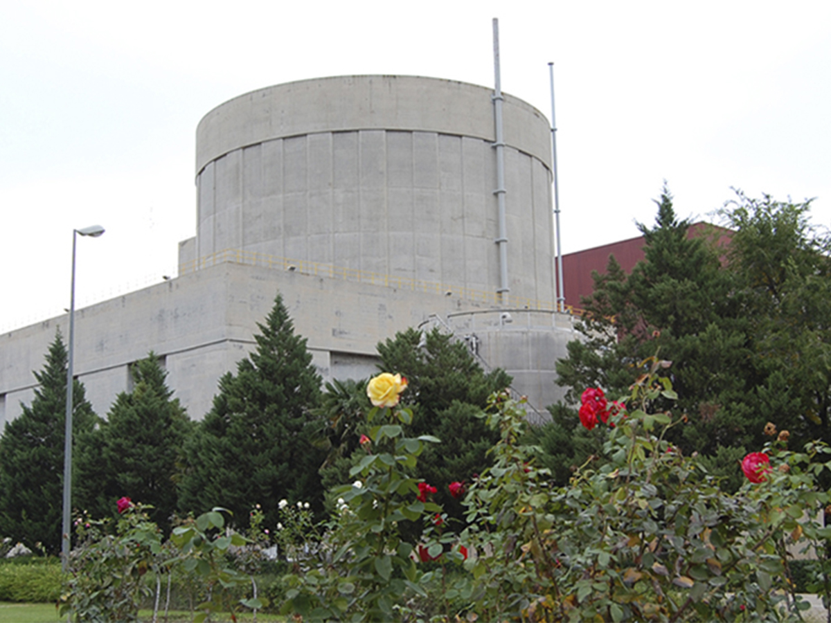 La Cámara Comercio de Valencia defiende a la nuclear en el mix energético y su papel clave