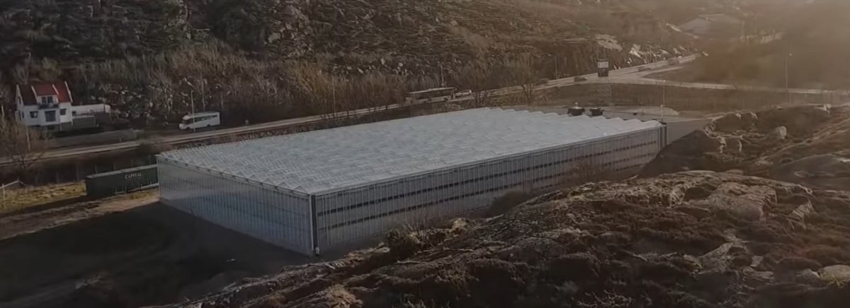 Algica, el material de algas que puede aumentar la eficiencia de los paneles solares un 4%