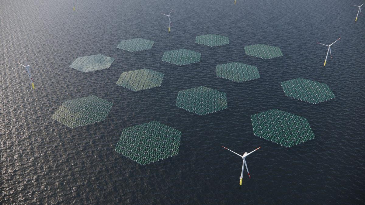 SolarDuck construirá la planta de fotovoltaica flotante marina más grande del mundo en el parque eólico marino Hollandse Kust West VII