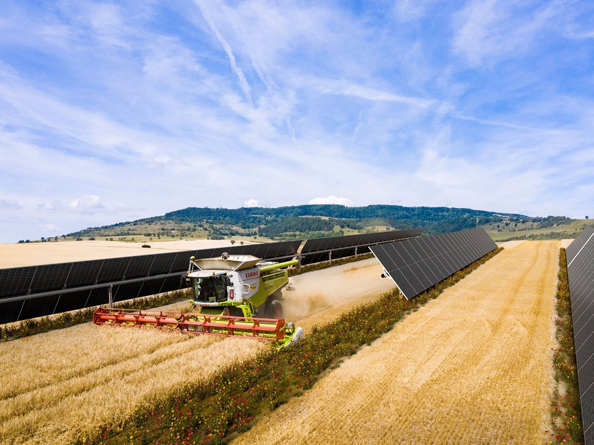 BayWa construirá dos parques solares en España para suministrar energía 'verde' al grupo Velux en Europa