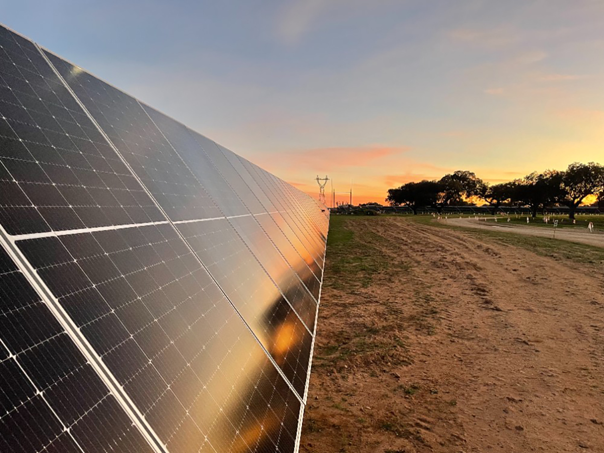 Endesa conecta casi 185 MW de solar fotovoltaica en cuatro plantas en Badajoz