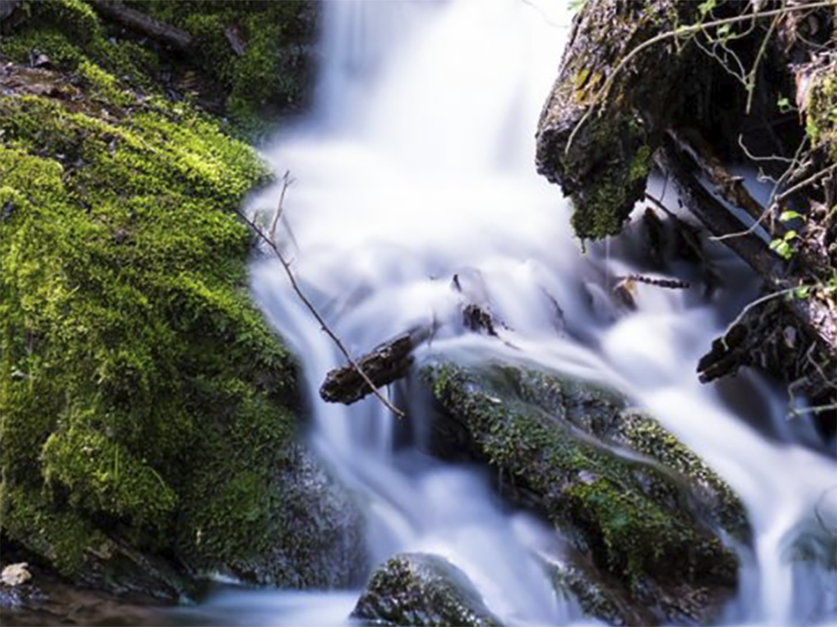 La energía eólica e hidráulica hunden el precio de la luz un 70% en enero