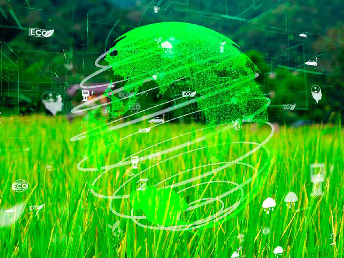 El 99% de CEOs mantendrá o ampliará sus compromisos en sosteniblidad