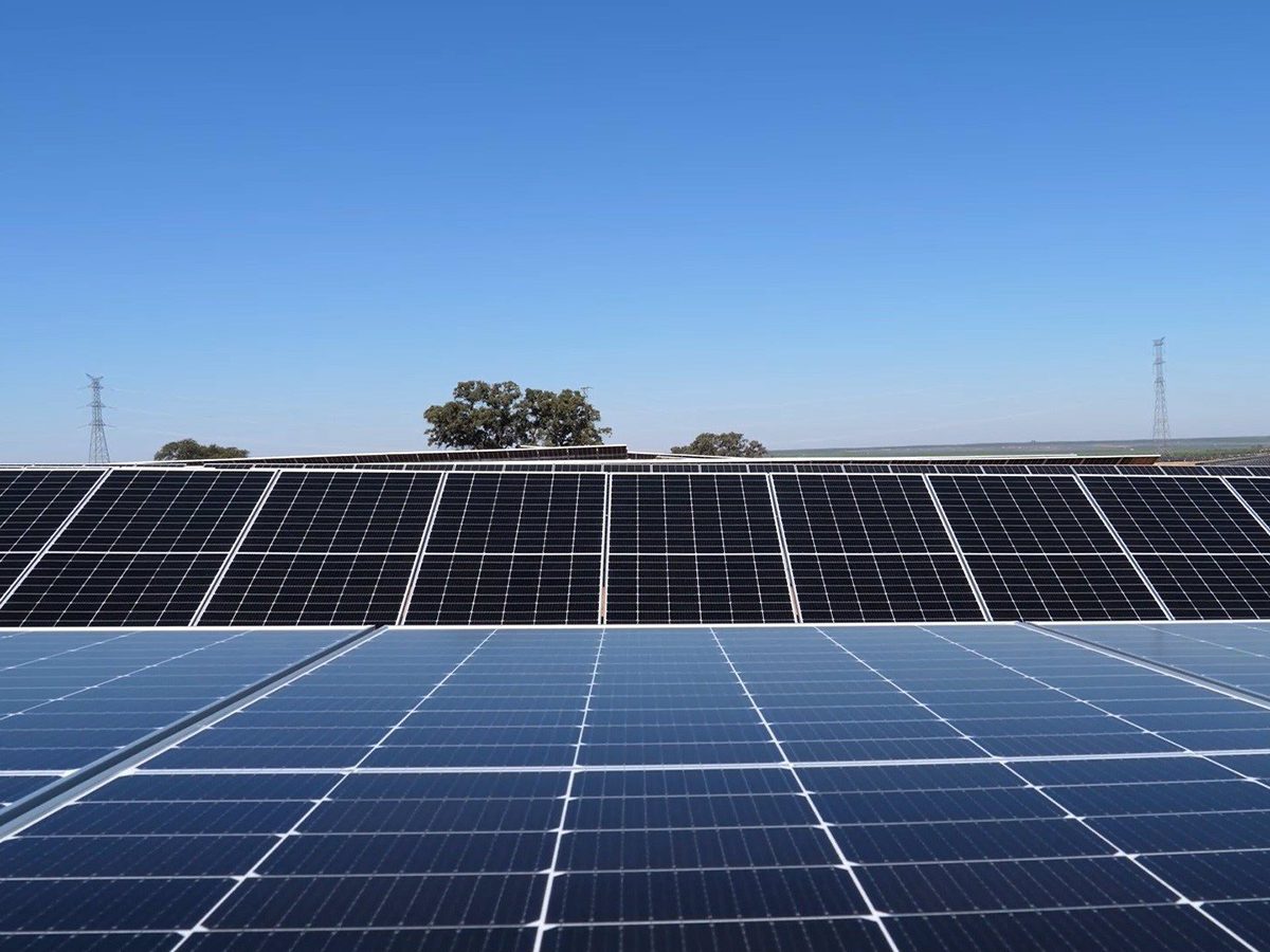 Acciona Energía firma un PPA renovable con Zimmer Biomet en España