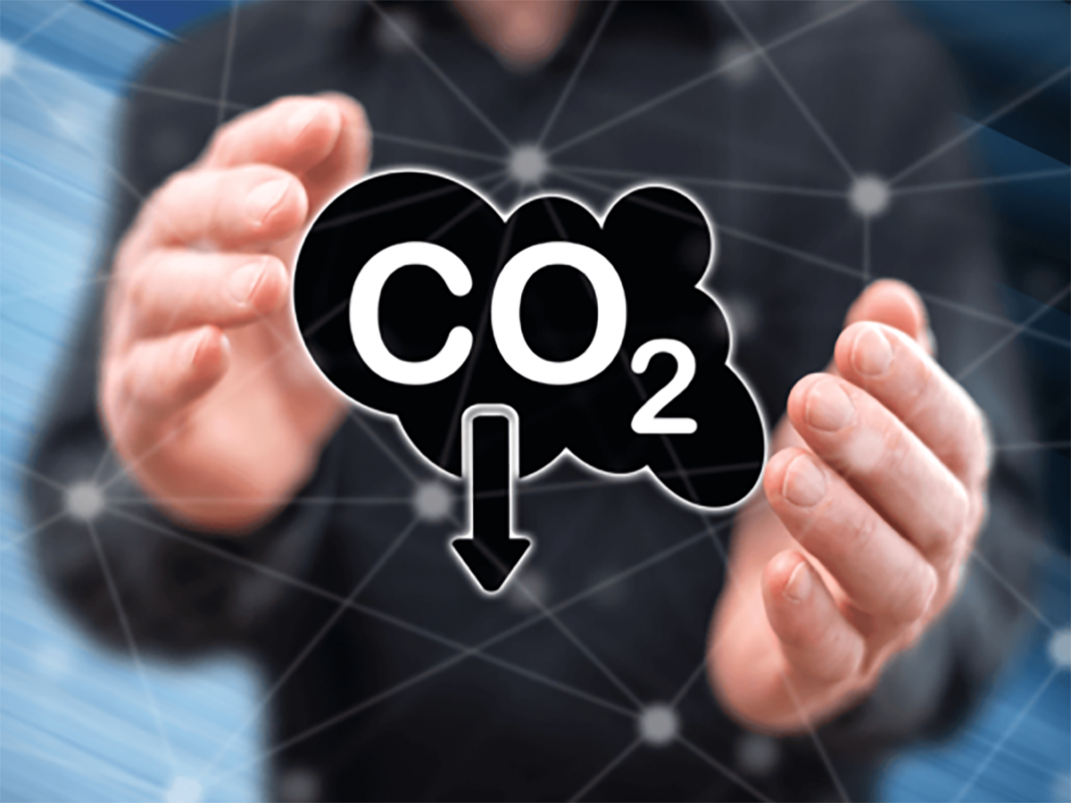 Emiratos Árabes Unidos destinará 450 millones de dólares para los mercados de carbono africanos