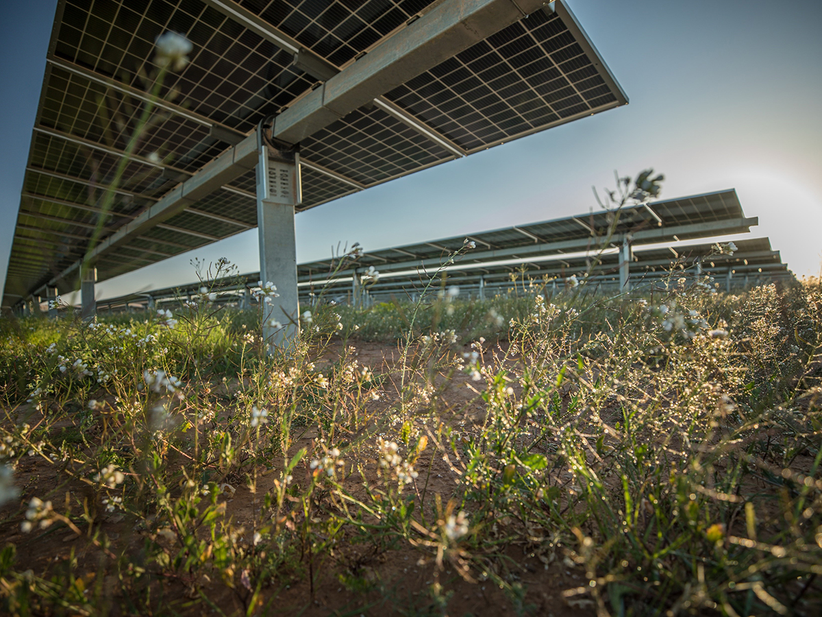 Lightsource bp invertirá 1.200 millones en desarrollar 19 proyectos fotovoltaicos en España