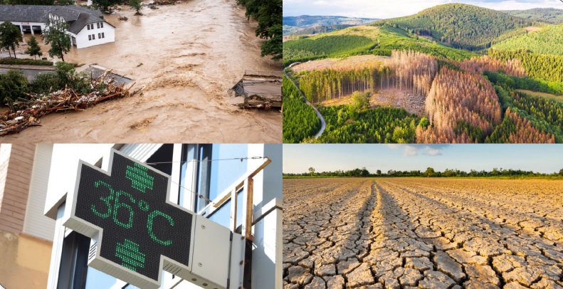 Los efectos del cambio climático podrían costarle a Alemania hasta 900.000 millones de euros para 2050