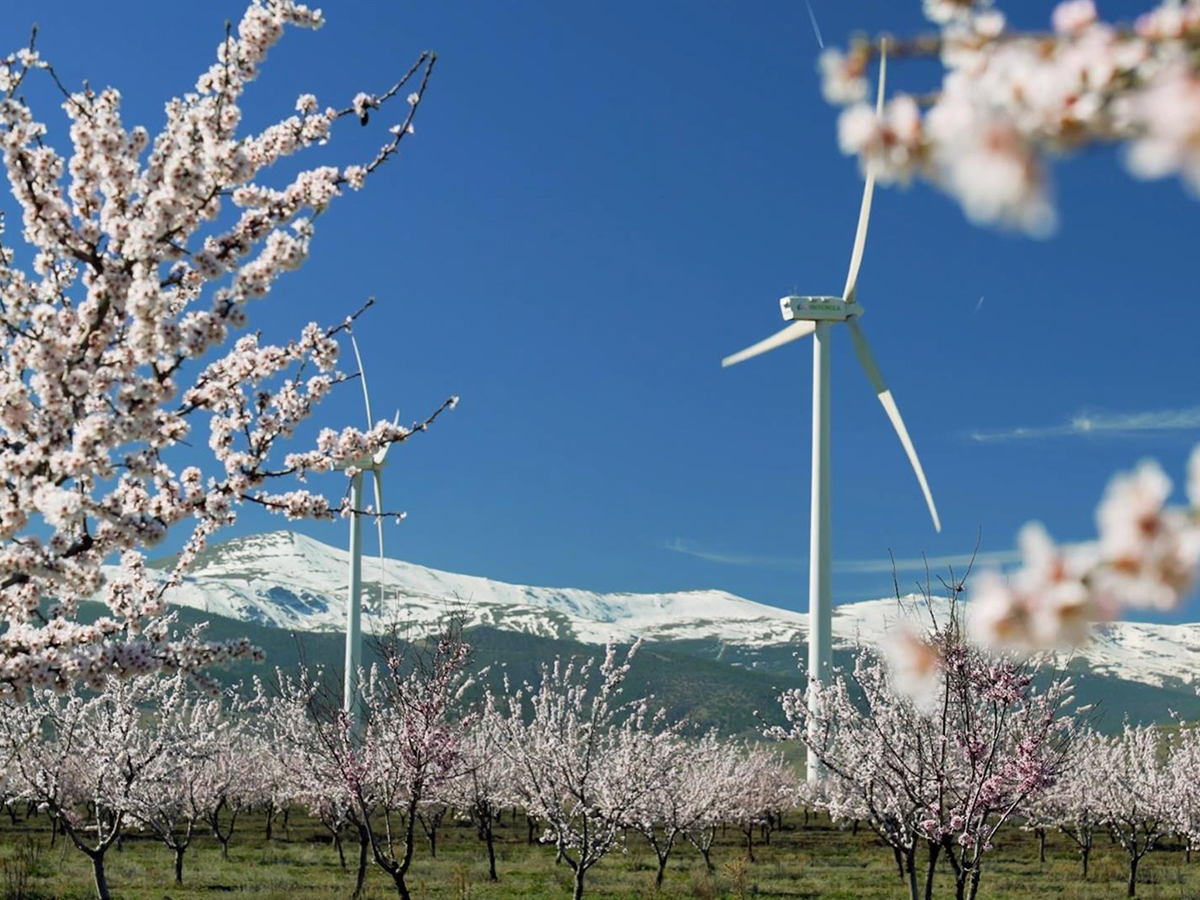 Iberdrola reconocerá con un galardón las mejores prácticas de convivencia entre renovables y su entorno