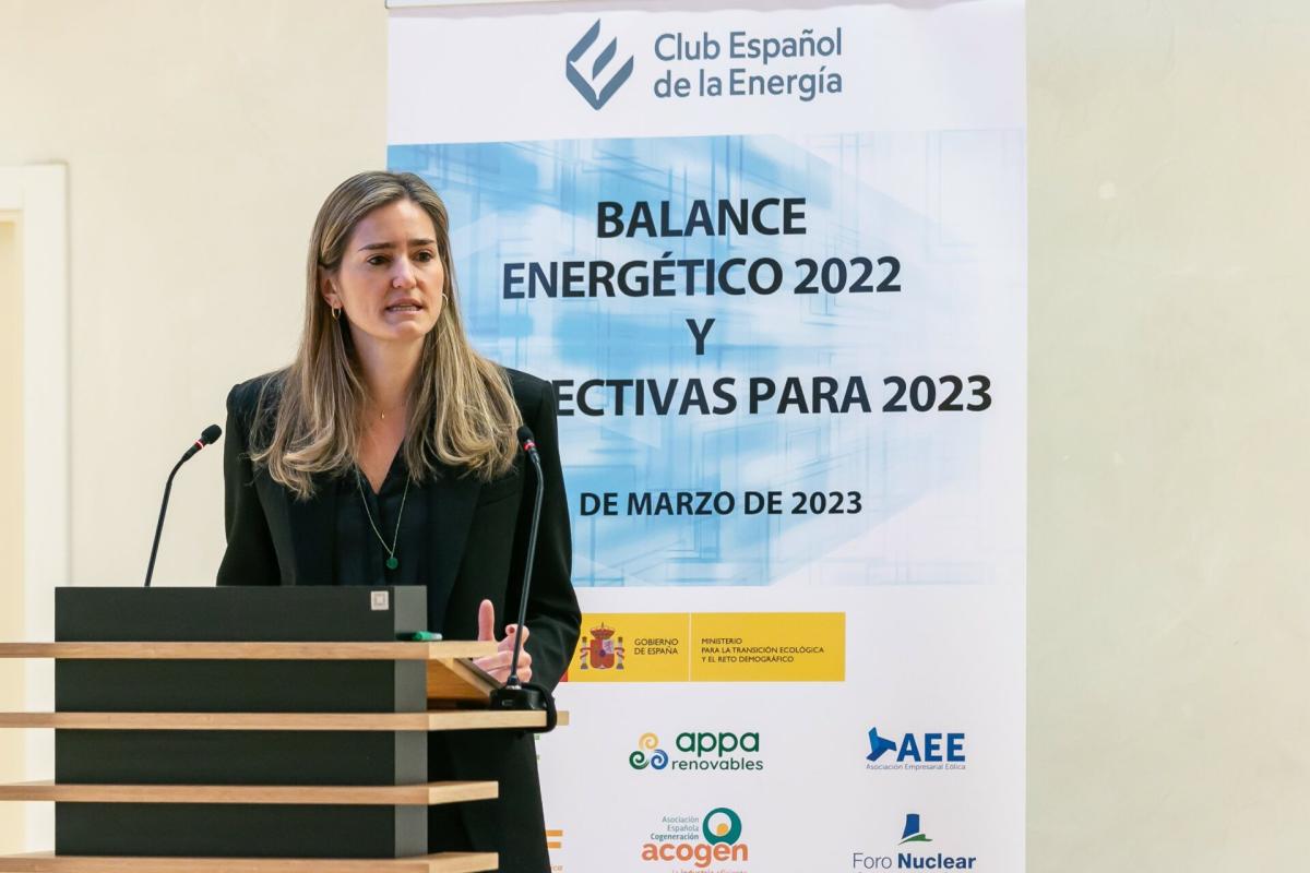 El Gobierno se verá con todo el sector energético para planificar la transición energética a 2030