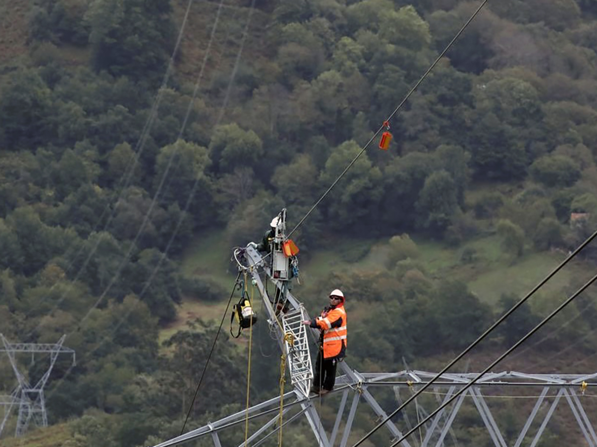 Red Eléctrica señalizará las líneas en zonas de vuelo del quebrantahuesos en España para proteger esta especie amenazada