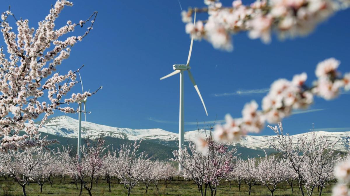 Iberdrola, primera empresa en el mundo en presentar a Naciones Unidas su Plan de Transición Climática Acelerada