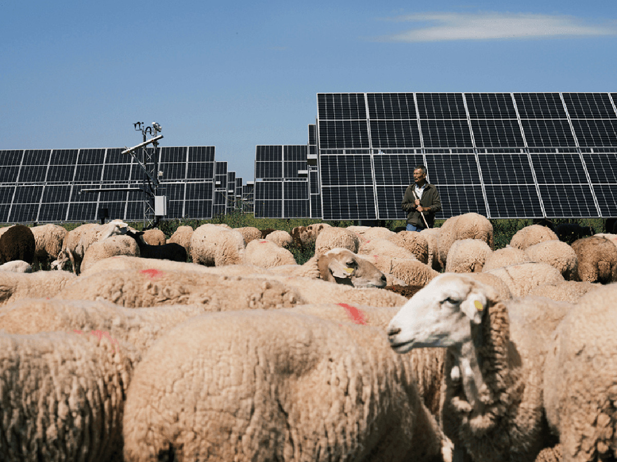 Dos plantas solares de Endesa reciben el Sello de Excelencia para la Sostenibilidad 2022 de UNEF