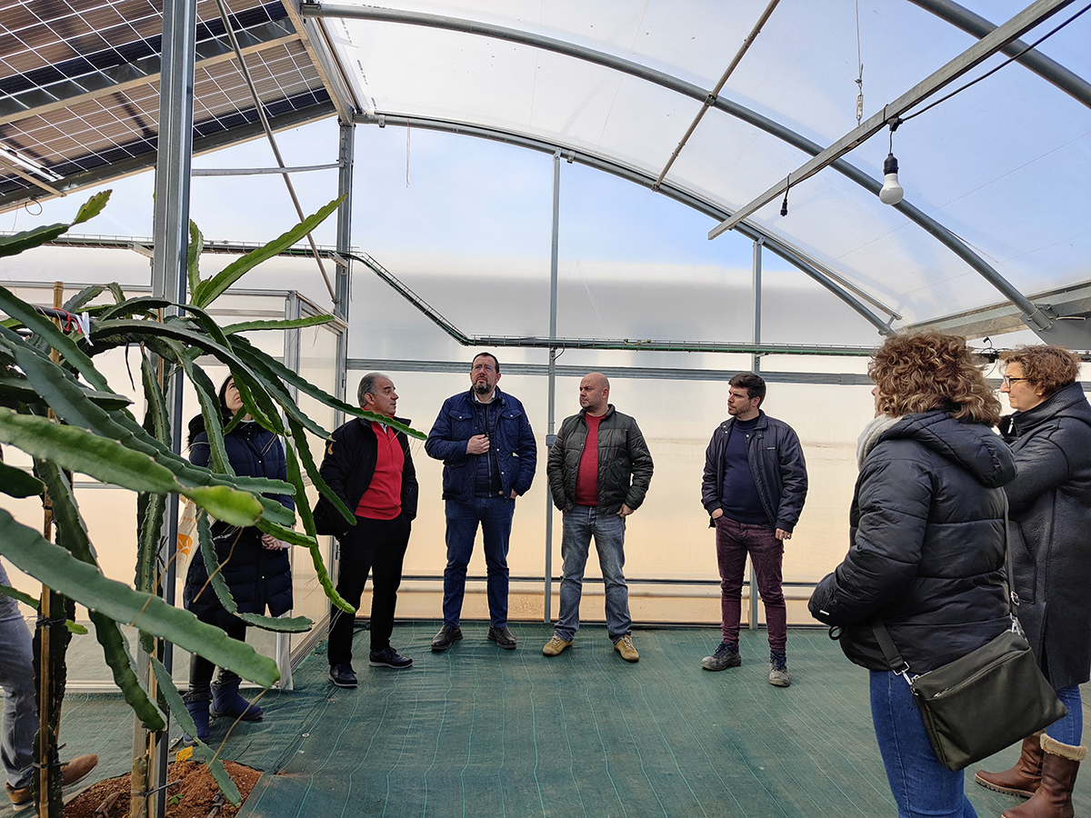 La comunidad energética agrovoltaica de Picassent Solar a punto de comenzar su actividad