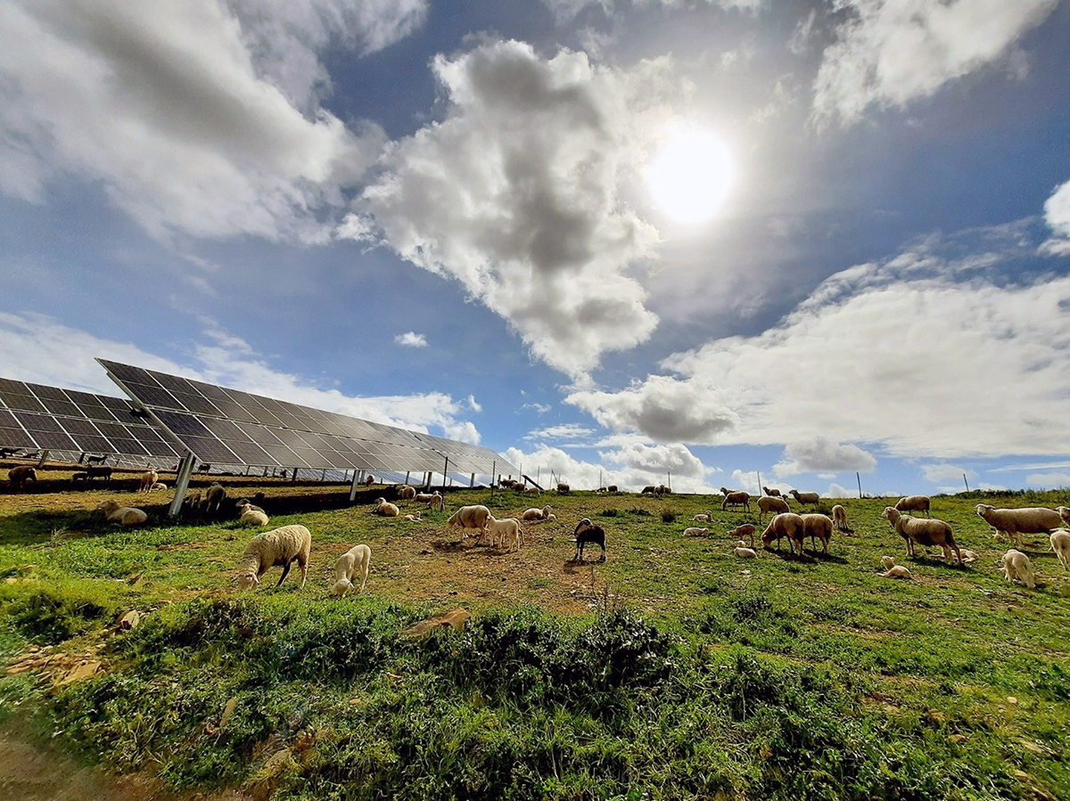 Capital Energy firma un 'PPA' para suministrar energía verde a Atlantic Copper de una fotovoltaica en Málaga