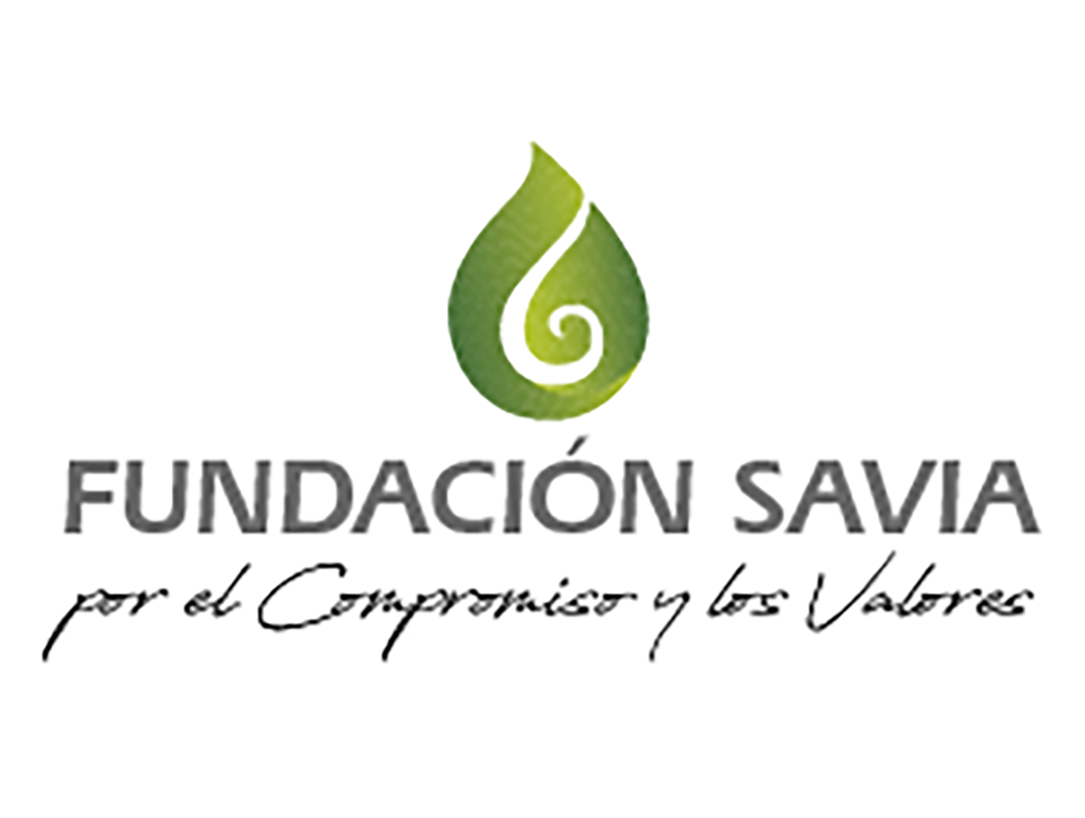 La Fundación Savia plantea a Ribera una visión "transversal" en la expansión de renovables