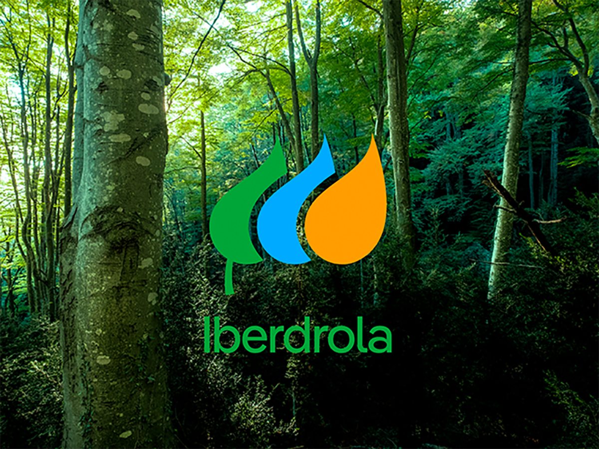 Iberdrola repartirá un dividendo complementario de 0,316 euros por acción el 28 de julio, un 15,3% más