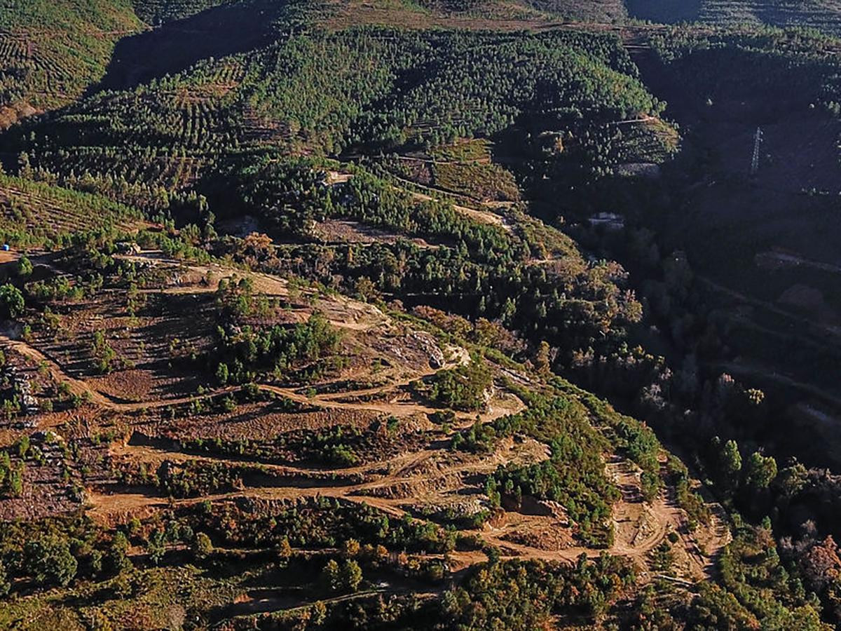 Portugal da el visto bueno ambiental a Savannah para proyecto de litio con condiciones