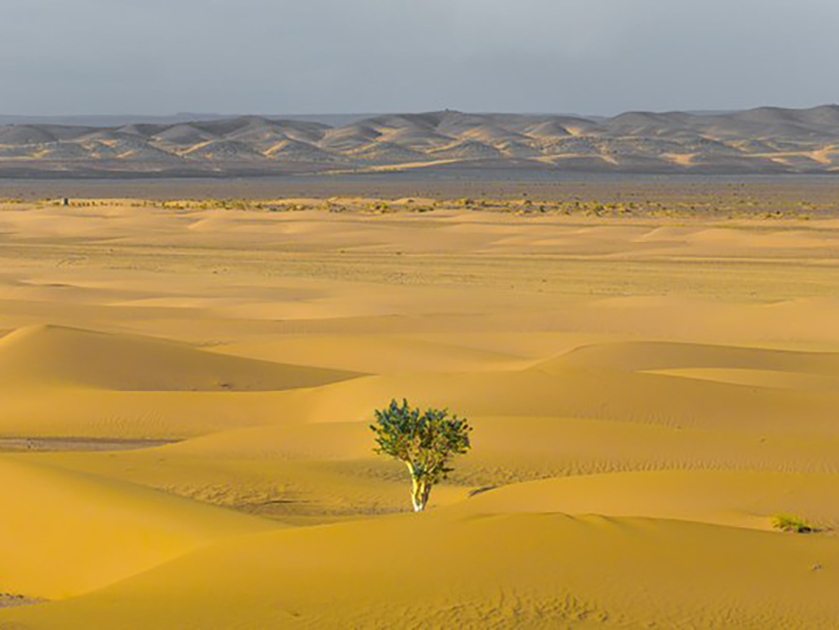 Rockström, padre de los límites planetarios: "Europa es la zona cero del cambio climático"