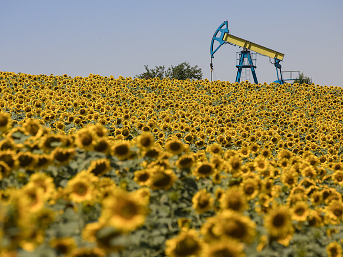 La petrolera rumana OMV Petrom anuncia el mayor descubrimiento de reservas de crudo y gas en décadas