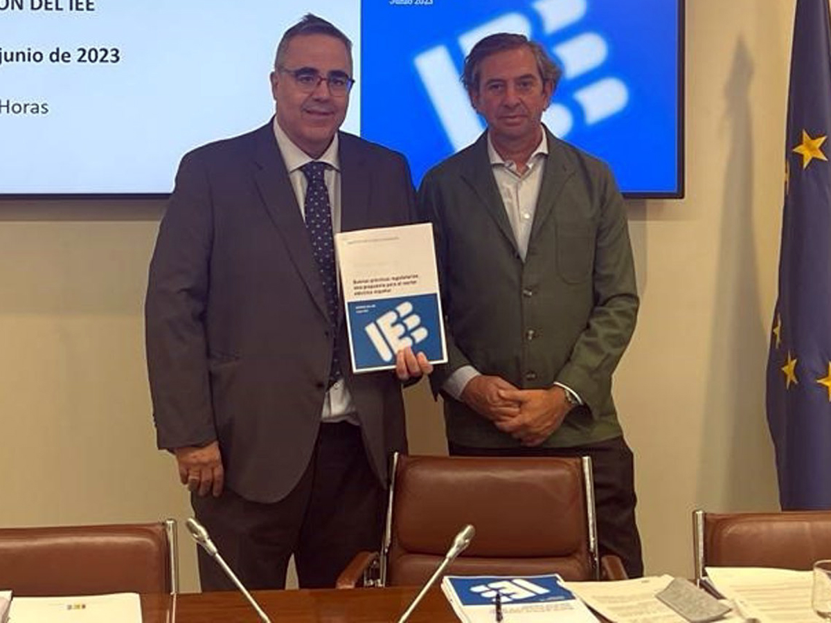 El IEE critica la reforma del mercado eléctrico del Gobierno y apuesta por un sistema "unificado" para Europa