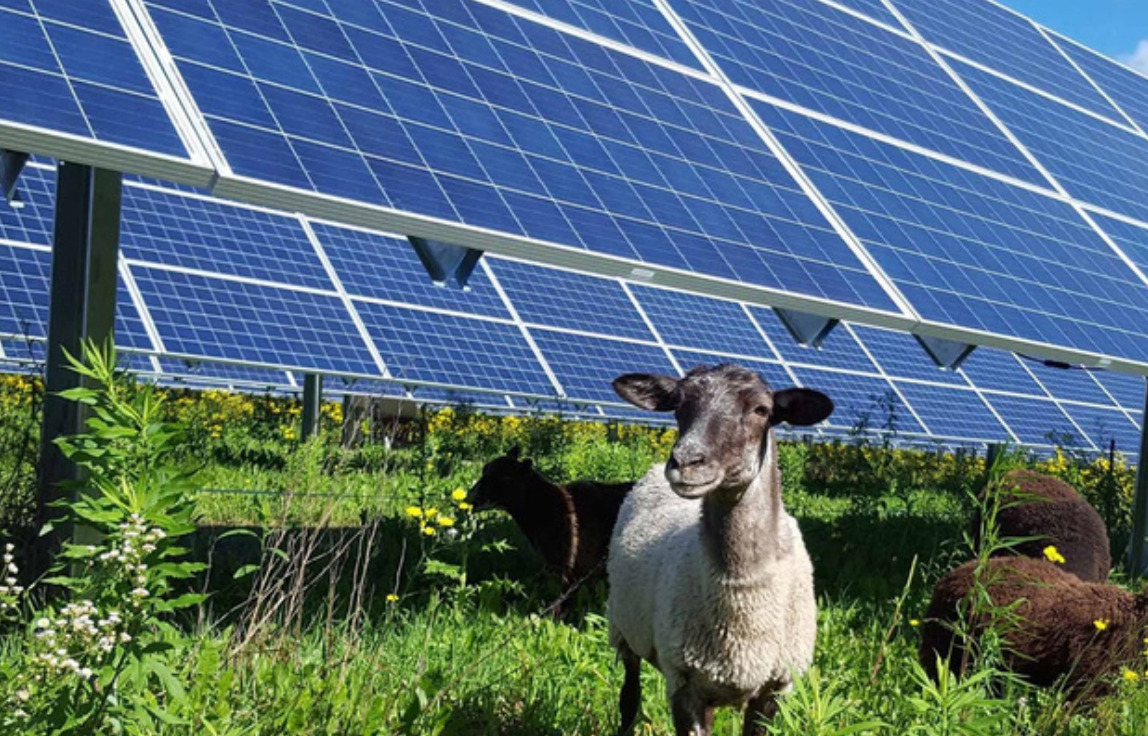 Adamant y Technique Solaire invertirán 130 millones en una planta fotovoltaica para reconvertir la antigua mina de carbón del Guadiato