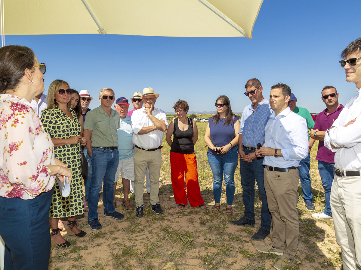 Suma Capital y Alpiq inician la construcción del proyecto fotovoltaico ’Quijote’ en Toledo con la tecnología de SENS