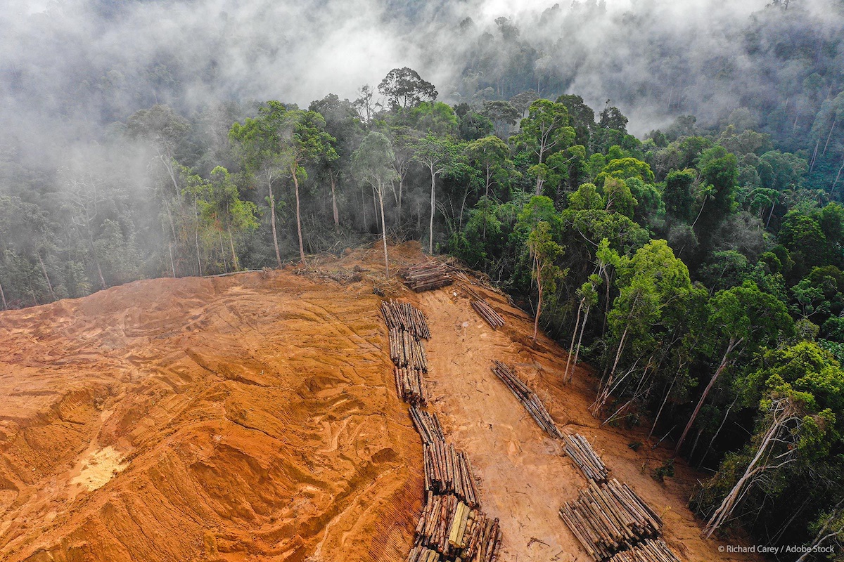 Las investigaciones revelan que una proporción alarmante de proyectos para evitar las emisiones de carbono han exagerado el impacto climático