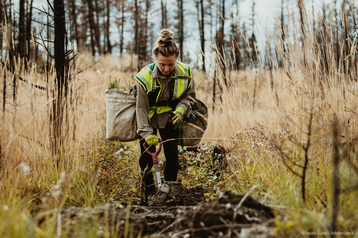 El Parlamento Europeo aprueba la Ley de Restauración de la Naturaleza con el apoyo final de algunos diputados populares