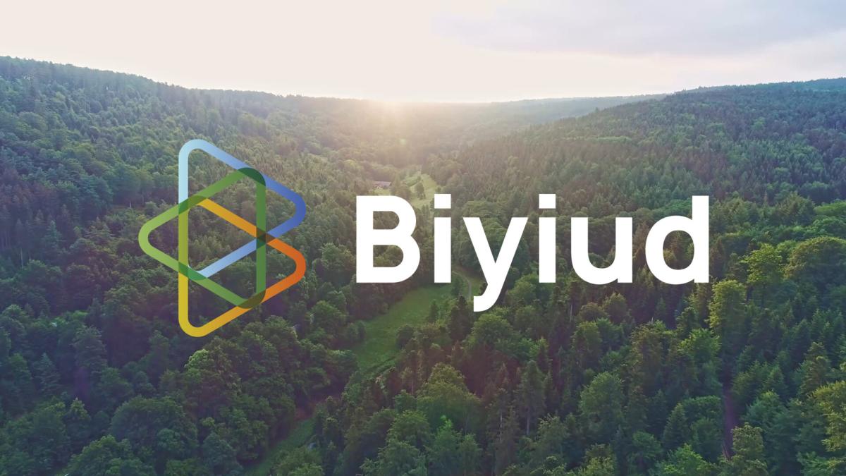 La 'startup' Biyiud hace realidad el empoderamiento del consumidor energético