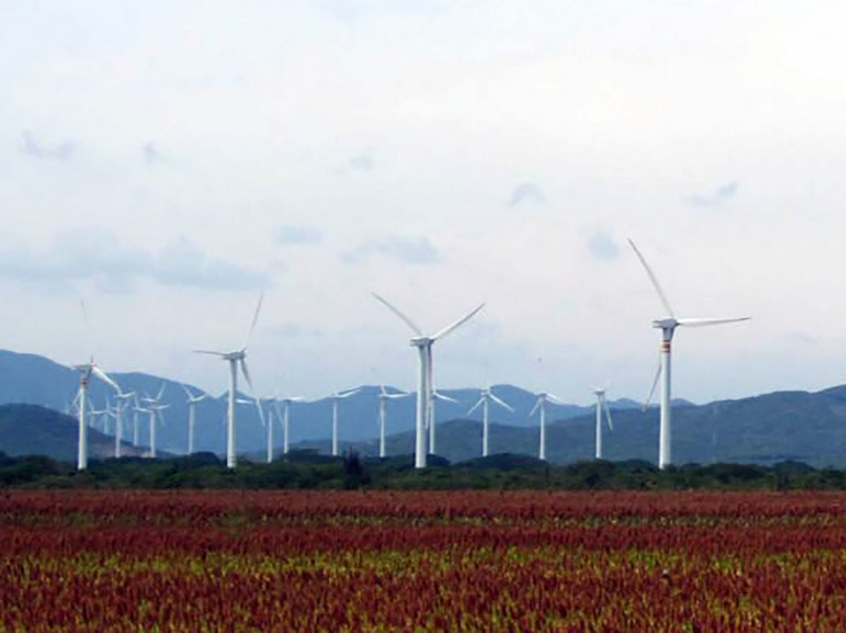 México detiene 400 MW de proyectos y se anota su peor año en la adopción de energía eólica