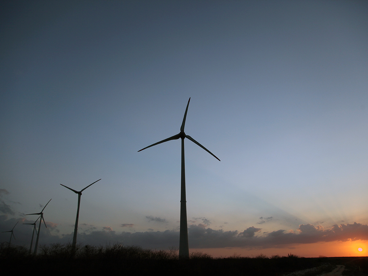 Petrobras y WEG se unen para desarrollar el mayor generador de energía eólica de Brasil