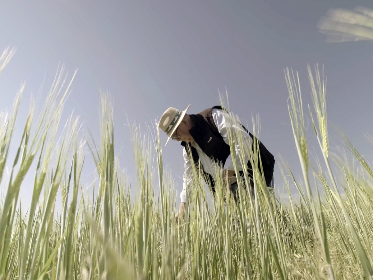 Heineken España y Fertiberia impulsan los primeros fertilizantes bajos en carbono