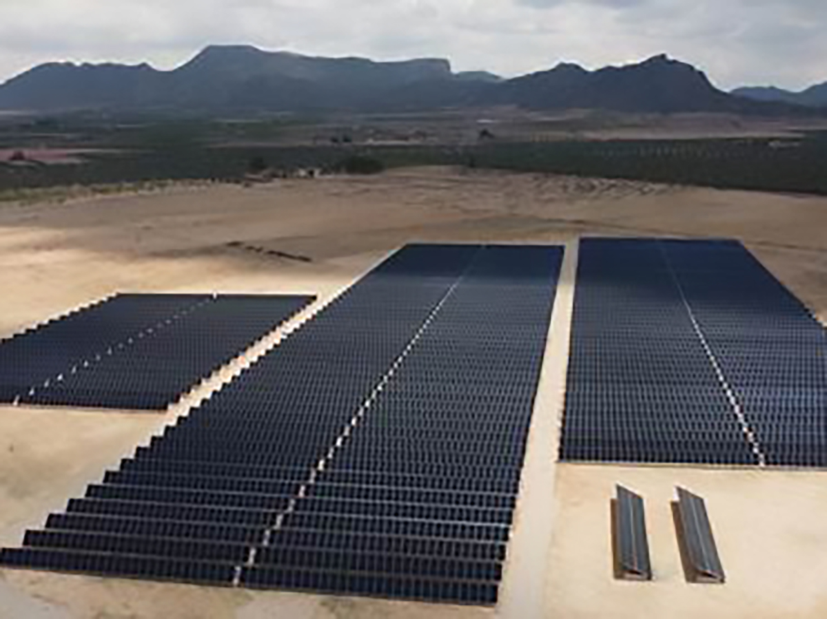 Grupo Visalia construye su primer parque fotovoltaico en Jumilla con una potencia de 3,7MW