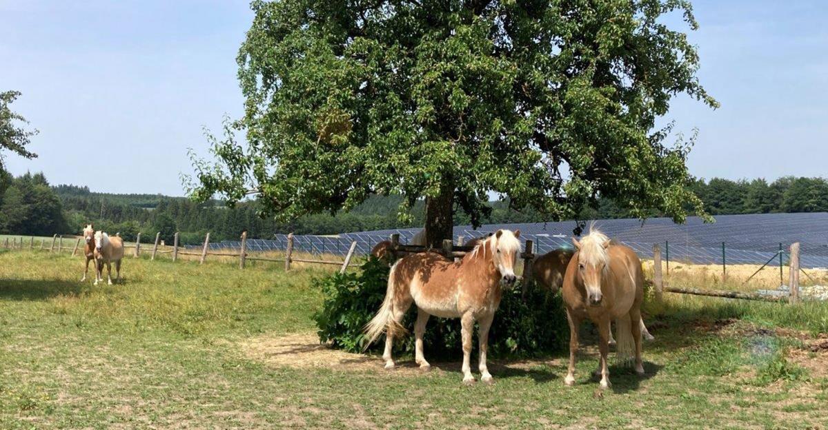 Paneles solares y baterías para hacer aún más sostenible una granja ecológica