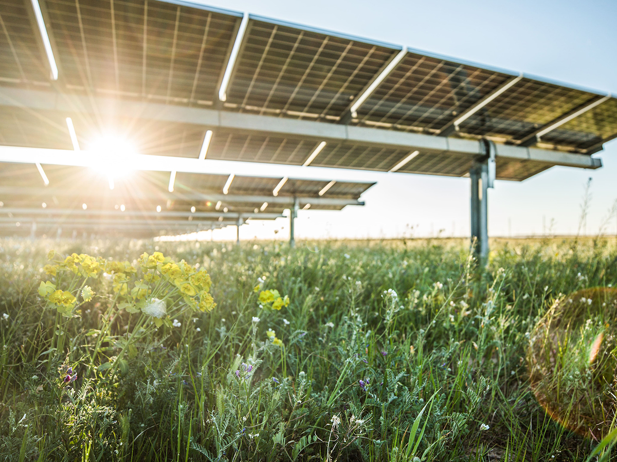 La energía solar dominará el mix eléctrico en todo el mundo antes de 2050