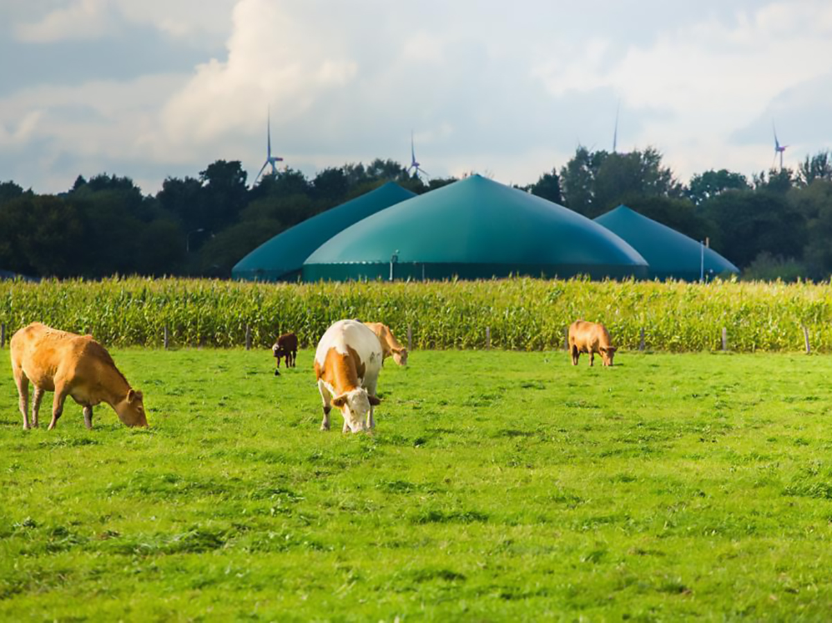 Cepsa arranca su producción de biometano a partir de residuos agrícolas y ganaderos