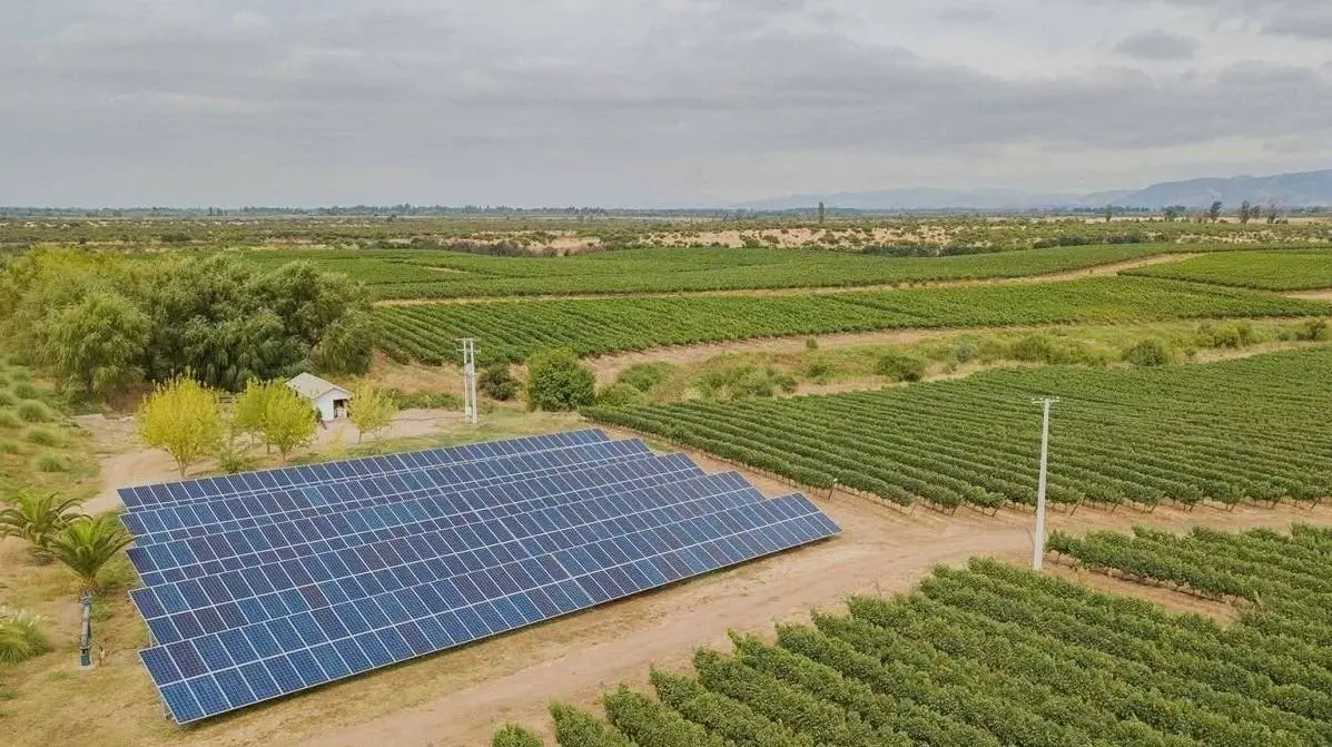 El PP y Vox prohibirán construir renovables en zonas de viñedo en Castilla y León