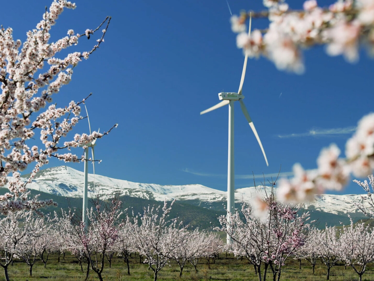 El despliegue de energías renovables creció un 16% en Andalucía en 2023 hasta 11.803 MW