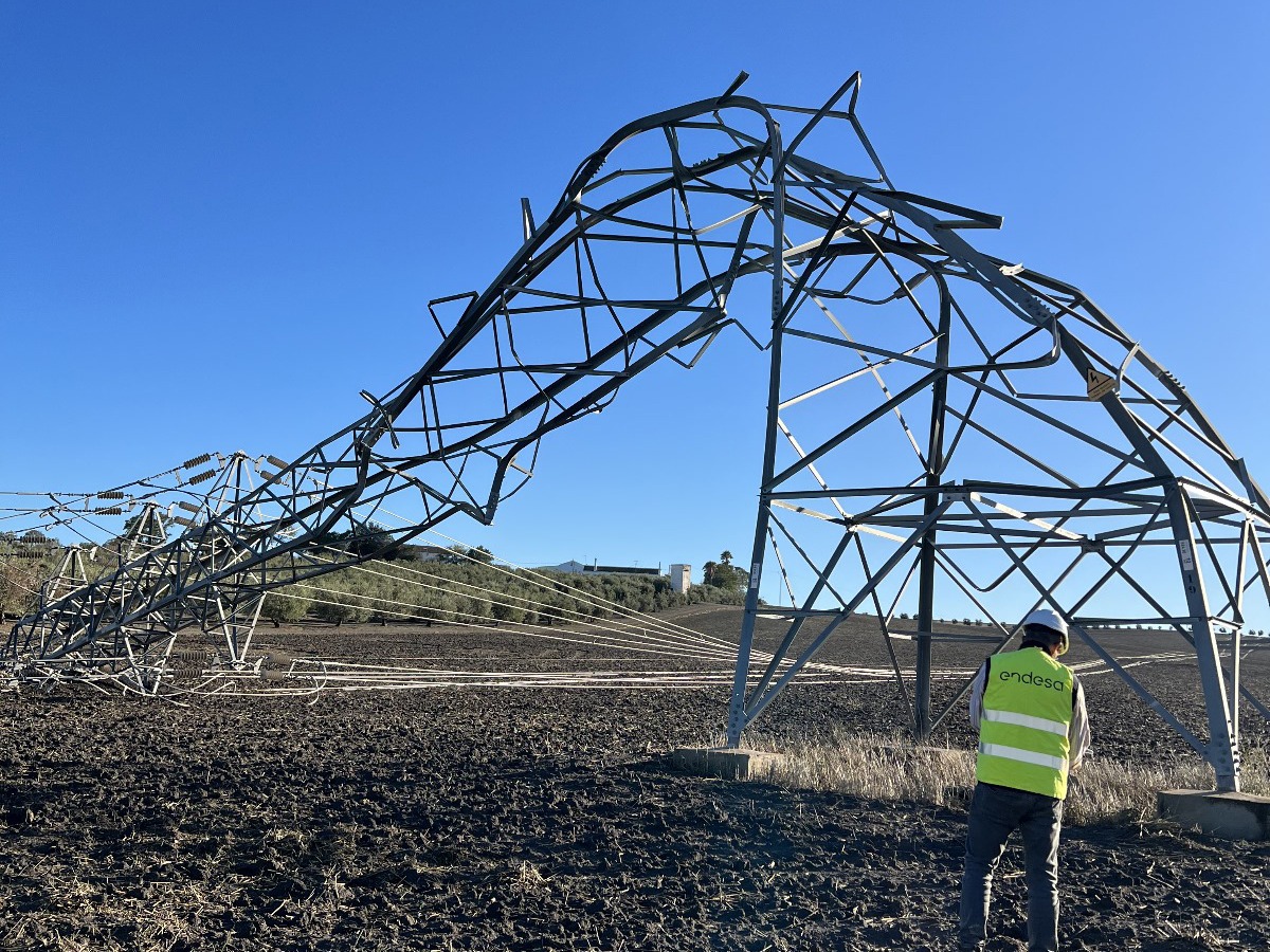 Así es como ha gestionado Endesa el paso de la borrasca Bernard que arrasó parte de la red eléctrica en Andalucía