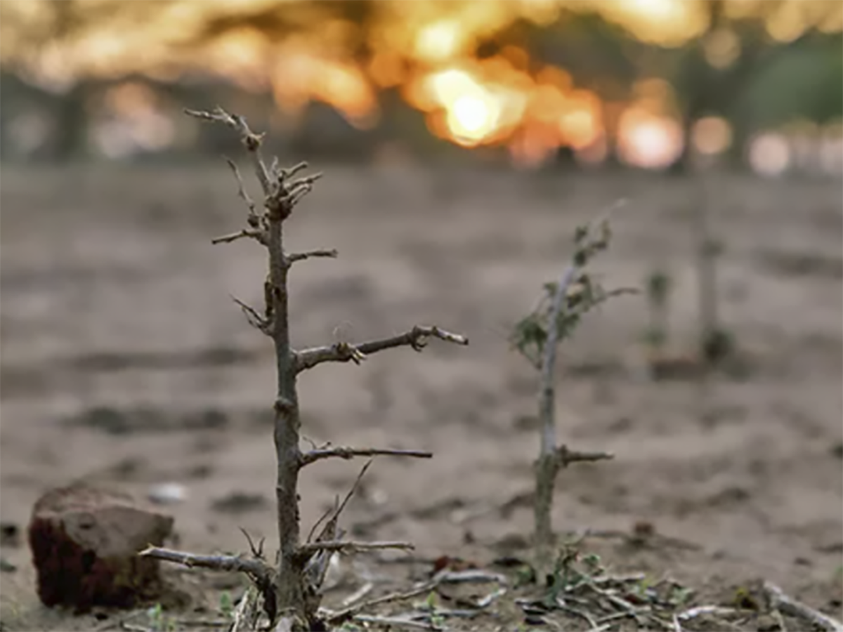 Sube la preocupación de los españoles por el cambio climático más de un punto porcentual en un mes