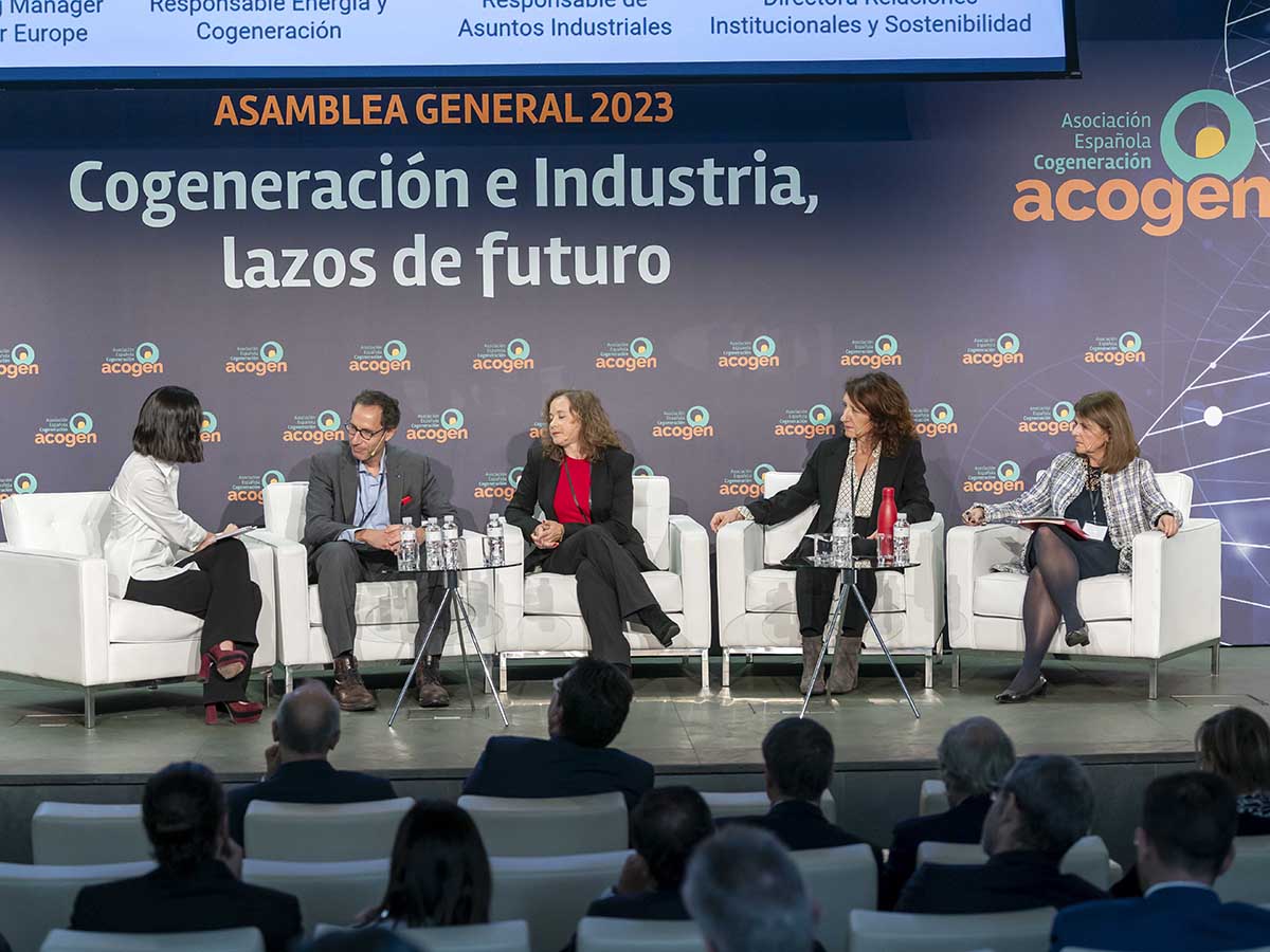 Los cogeneradores abordan con confianza un nuevo ciclo de competitividad e inversión industrial