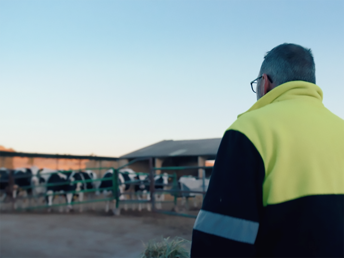 Iberdrola y Pascual se unen para reducir las emisiones de metano en las granjas