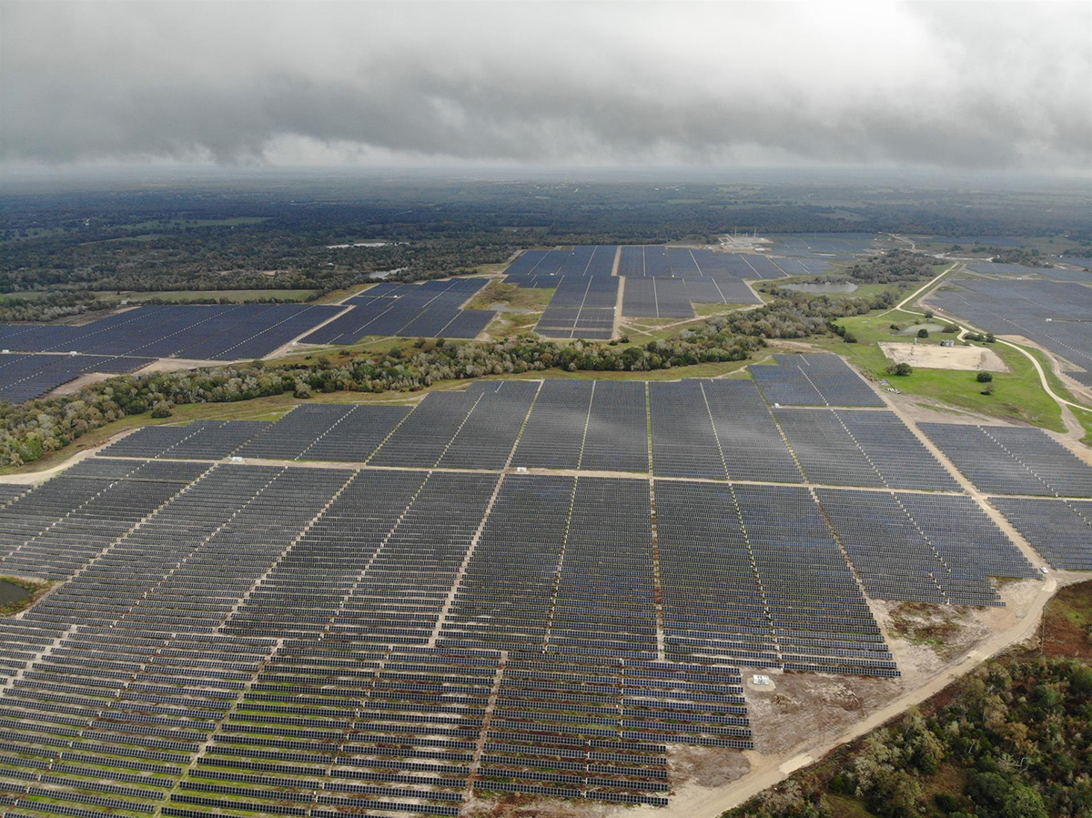 La fotovoltaica bate récord de producción diaria para un mes de febrero en España, Portugal e Italia