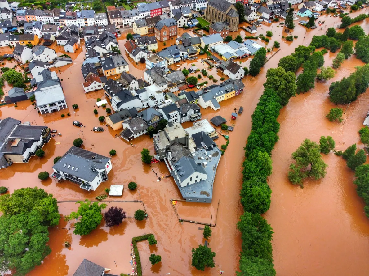 ONG y responsables políticos denuncian los recortes previstos en el régimen alemán de protección natural del clima