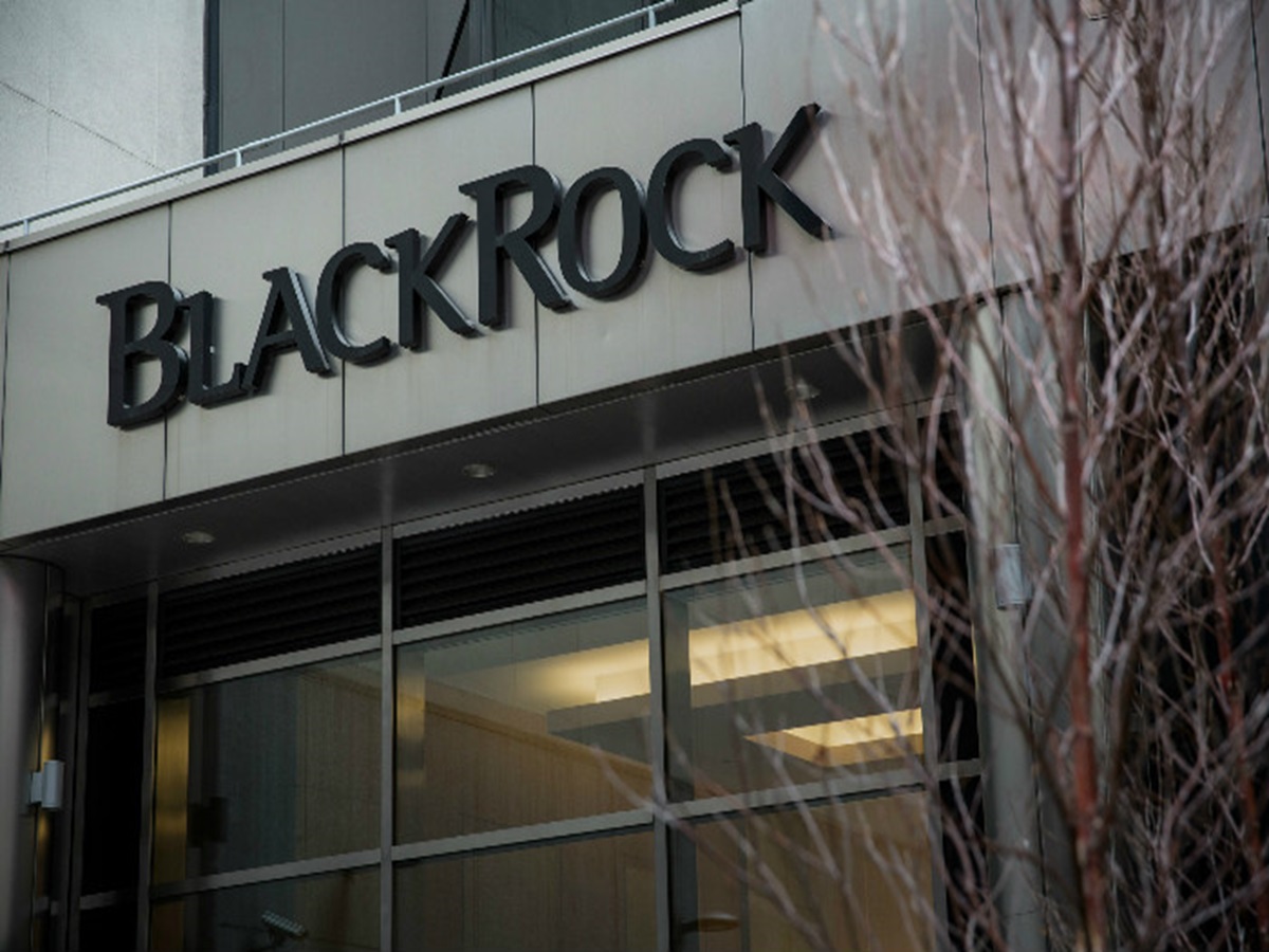 BlackRock se come GIP y se convierte en el segundo mayor accionista de Naturgy