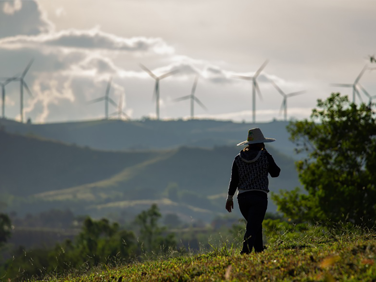 La capacidad solar y eólica de la ASEAN crece un 20%, pero los proyectos potenciales superan con creces la construcción